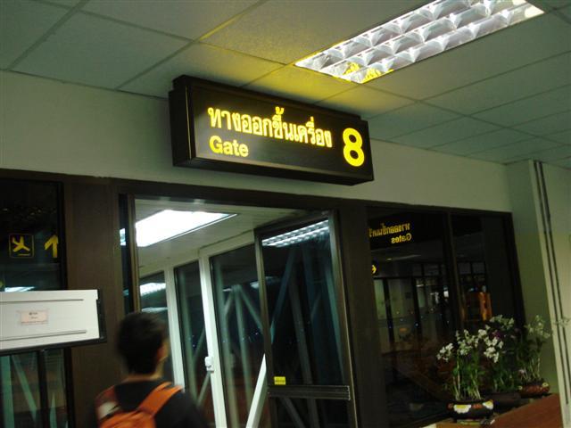 DSC02379 (Small).JPG